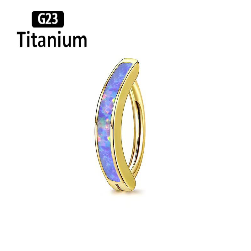 1PC 14G Implant Grade G23 Tita - Body Jewelry Implant Grade 评论和价格