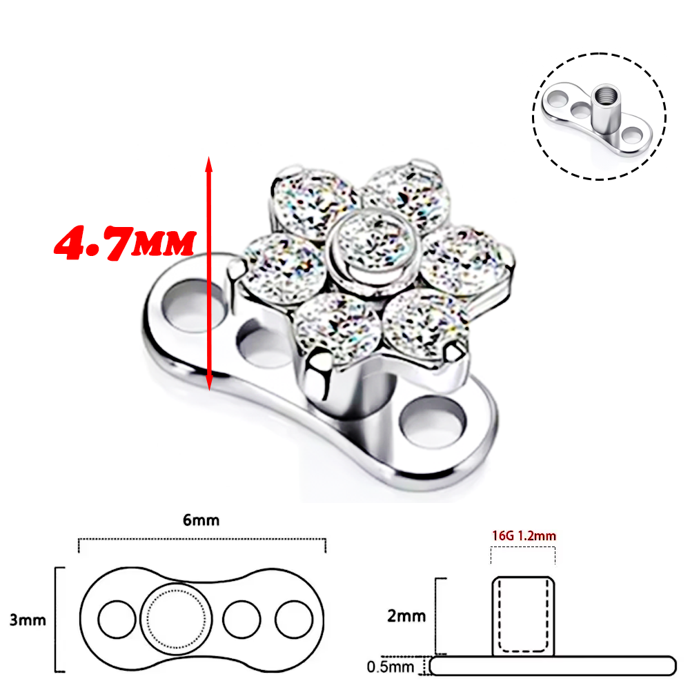 F136 Titanium Alloy High-Quali - Body Jewelry Implant Grade 评论和价格
